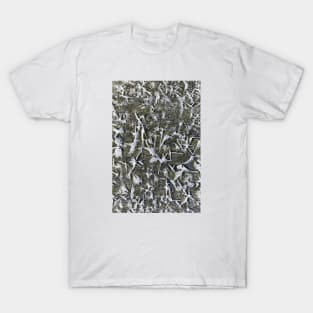 Sharp icicles T-Shirt